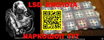 ПСИЛОЦИБИНОВЫЕ ГРИБЫ Владимир