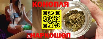 apvp Владивосток
